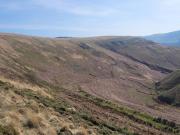 Farm land to rent