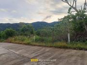 Farm Lot 3.2 Hectares, clean title in Nueva Ecija for Sale