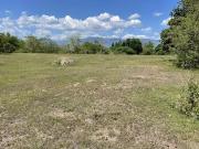 Farm Lot 57,441 sqm Clean title for Sale in Dasol Pangasinan