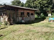 FARM LOT filled with fruit bearing trees in CALINAN FOR SALE