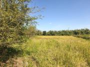Farm Lot For Sale at Maragondon Cavite with Fruit...