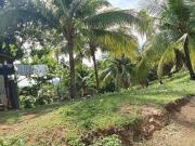 Farm lot for Sale In Alubijid
