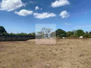 Farm Lot For Sale in Trece Martires near SM Mall