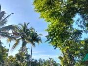 Farm lot for sale located at Alfonso, Cavite near Twin Lakes