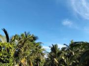 Farm lot for sale with fruits bearing near Tagaytay,...