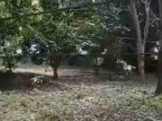 Farm Lot in Antipolo