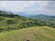 FARM LOT IN SIBUGAY CEBU CITY, 9.5 HECTARES