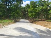 Farm lot with Fruits bearing near Tagaytay city