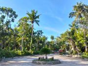 Farm lot with Fruits bearing near Tagaytay city for sale