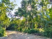 Farm lot with Fruits bearing near Tagaytay city for sale