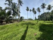 Farm lot with river view in Katipunan, Zamboanga del Norte