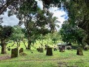FARM LOT/COCK FARM San Jose Del Monte Bulacan