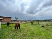 farm on the market in benoni a,h