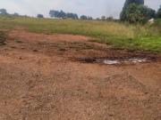 farm/ plot on the market in mapleton