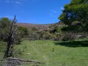 Farm Sterkstroom Eastern Cape 92969985