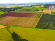 farm with 6 bedroom, ATHERTON ES83601262