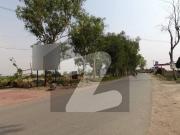 Farmhouse Land Available For Sale In Orchard Greenz...