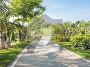 Farmhouse Land Available on Badian Road, Lahore