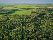 Farmhouse with garden