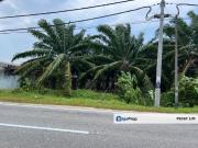 Farmland Available for Purchase @ Jorak, Muar