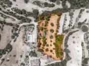 Faro Algarve 79581915