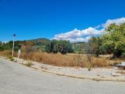 Faro Faro 8005 411 96326435