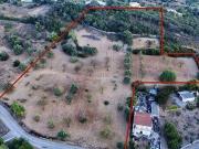 Faro Faro 8005 488 82445138