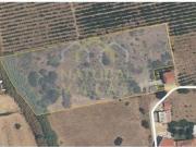 Faro Faro LS84390387