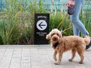 Farrier, M5 4UY, Manchester Farrier, M5 4UY, Manchester