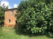 Fattoria 4 camere da letto, Castiglione Del Lago Umbria...