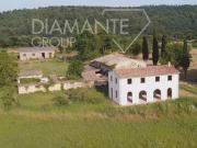 Fattoria Acquapendente Lazio DS96439130