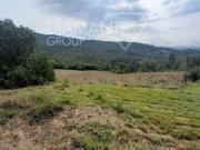 Fattoria Acquapendente Lazio ES99806377