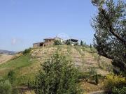 Fattoria Allerona Terni DS96326880