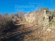 Fattoria Allerona Umbria ES91865629