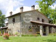 Fattoria Arezzo Arezzo DS87738807