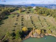 Fattoria Baschi Terni DS96322190