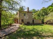 Fattoria Calvi dell'Umbria Terni DLS82031602