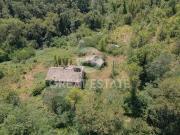 Fattoria Cannara Perugia DS93421465