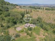 Fattoria Cannara Perugia ES93421465