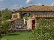 Fattoria Castelnuovo Berardenga Siena ES95094298