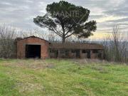 Fattoria Castiglione Del Lago Umbria ELS96309289