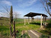 Fattoria Cinigiano ToscanaTuscany ES96308610