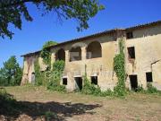 Fattoria Città della Pieve Perugia DS96333298