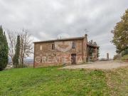 Fattoria Città della Pieve Perugia ELS97114417
