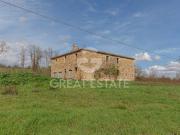 Fattoria Città della Pieve Perugia ES96333282