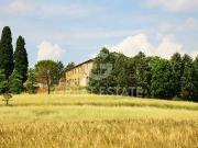 Fattoria Città della Pieve Perugia ES97114420