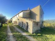 Fattoria Citta' della Pieve Umbria ES96322937