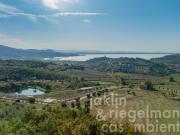 Fattoria con casale parzialmente ristrutturato, volume...