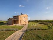 Fattoria Cortona Arezzo DS97114397