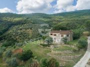 Fattoria Cortona Arezzo ES96322719